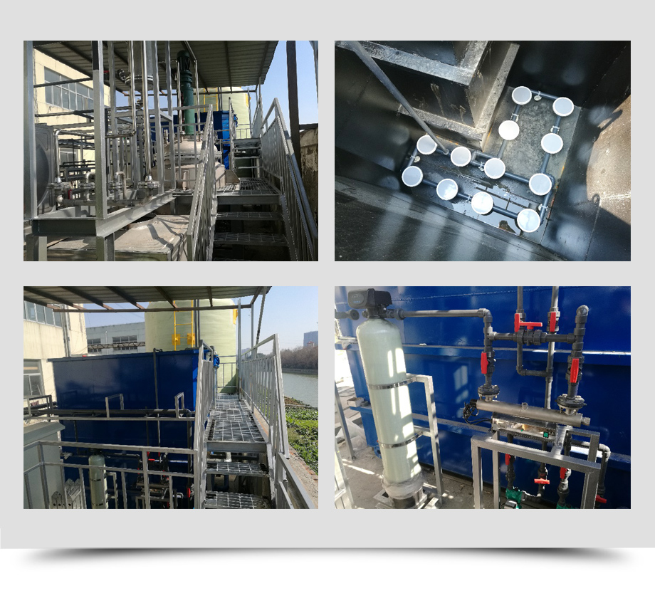 茂禾.jpg 茂禾.jpg