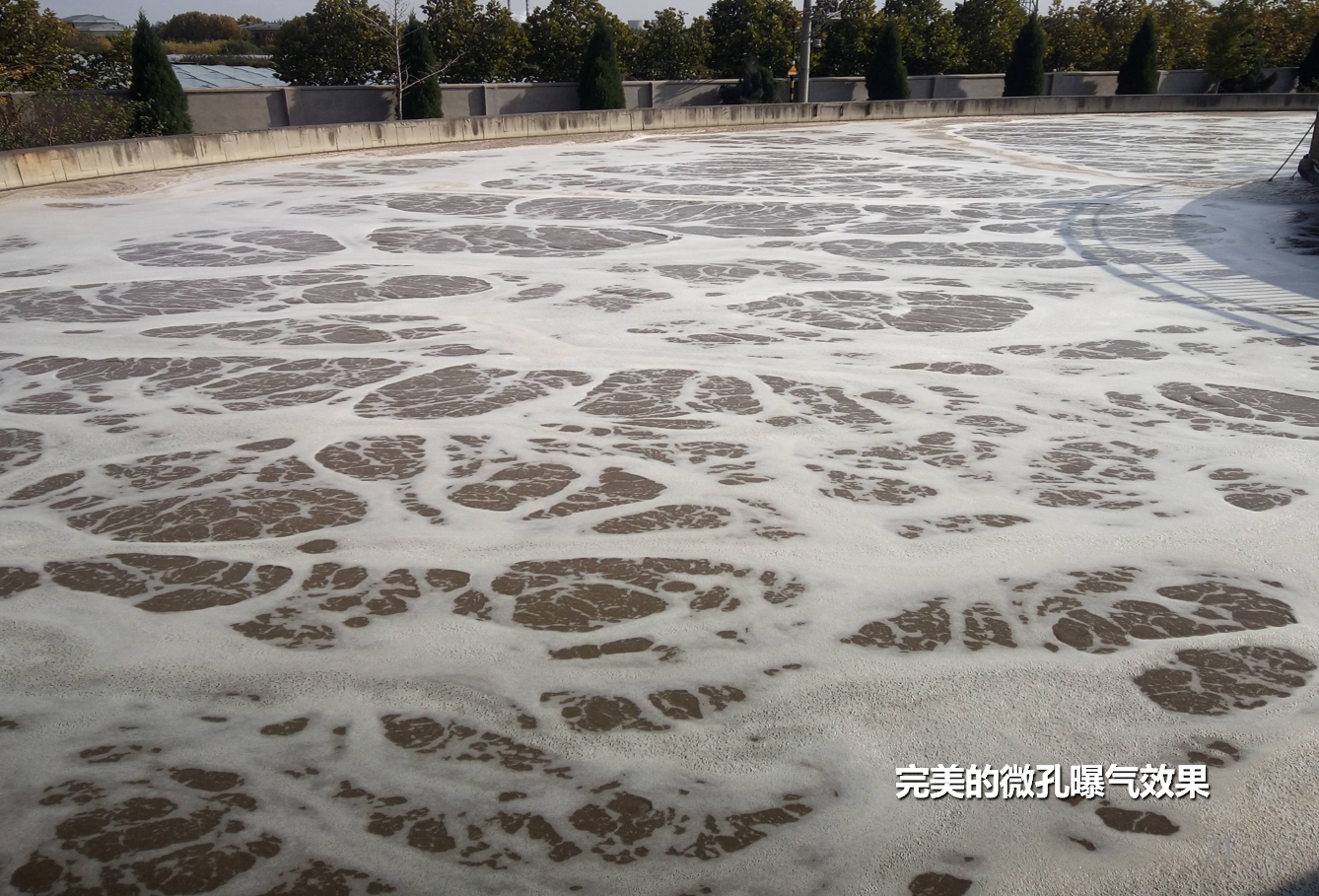 曝氣系統5.png 曝氣系統5.png